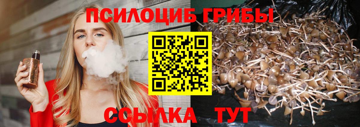 Псилоцибиновые грибы Psilocybine cubensis Ковров